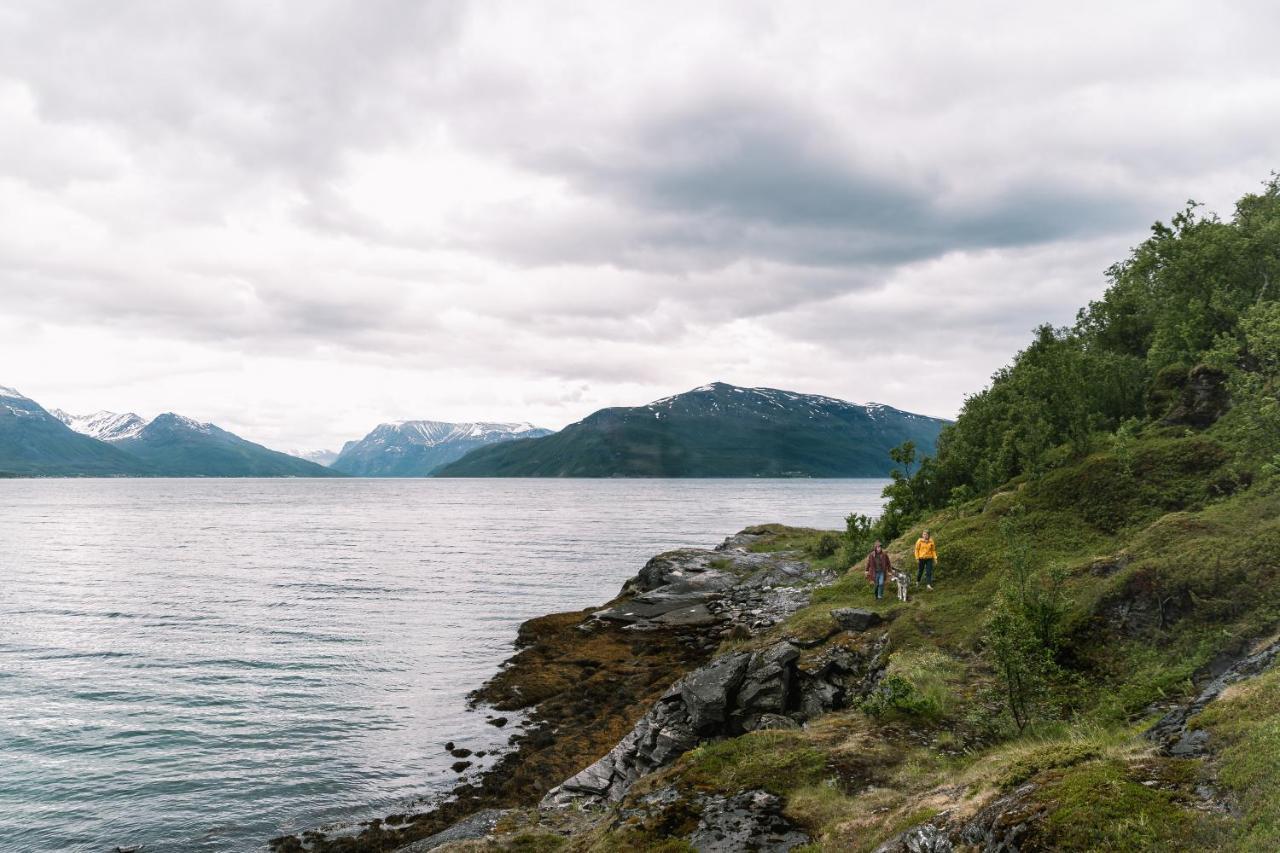 Aurora Fjord Cabins Lyngseidet Extérieur photo