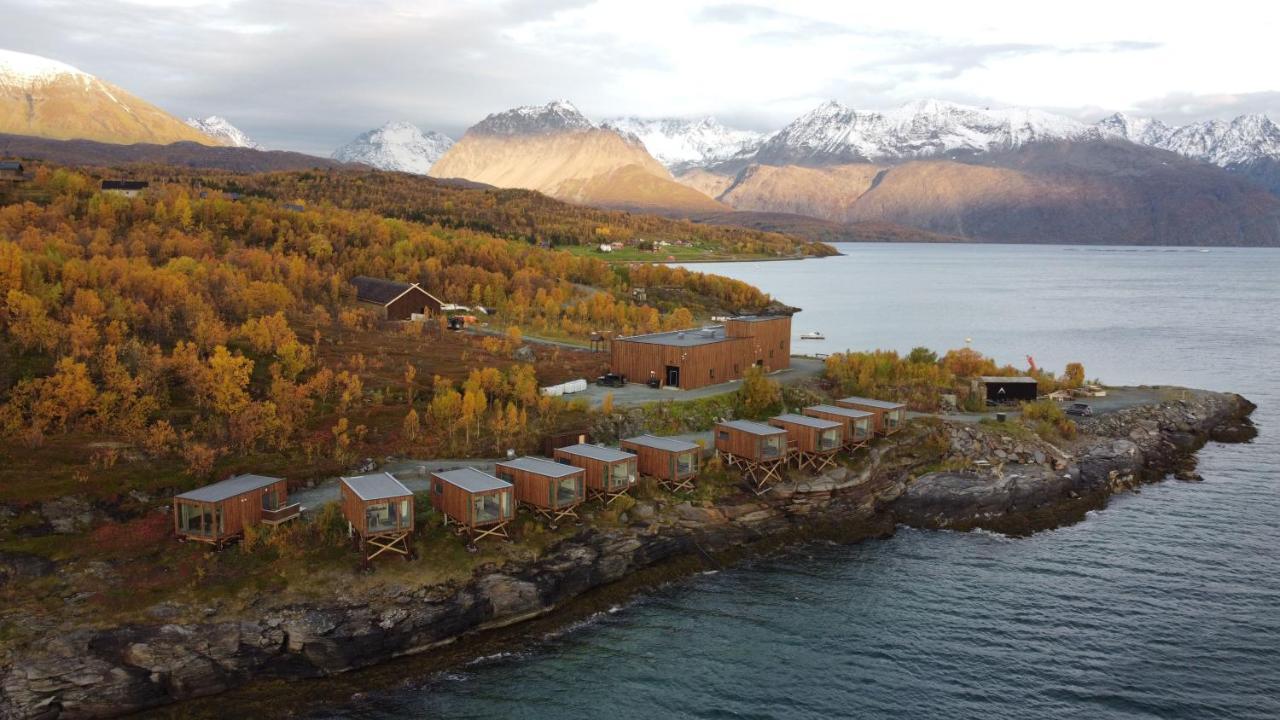 Aurora Fjord Cabins Lyngseidet Extérieur photo
