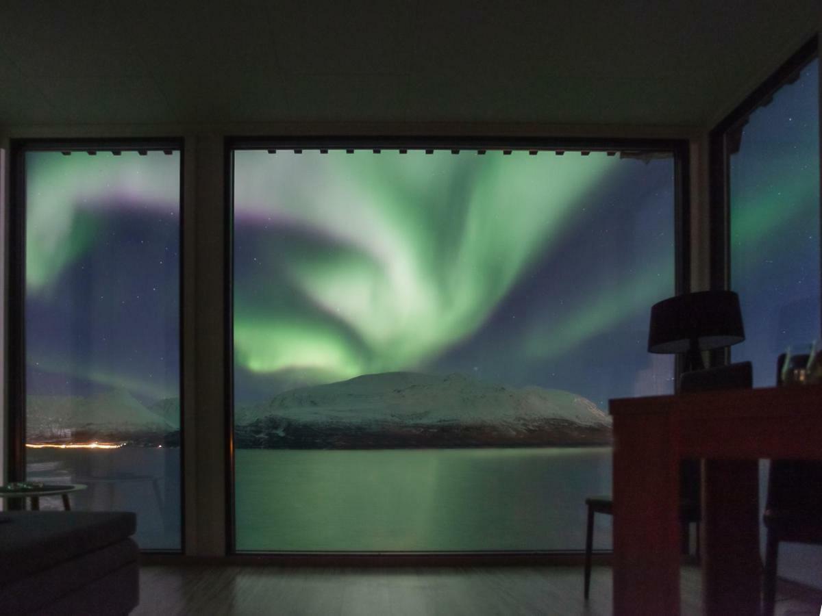 Aurora Fjord Cabins Lyngseidet Extérieur photo